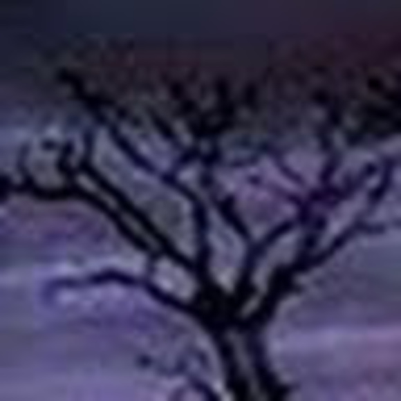 Meet your Posher - Picture 1 of 1